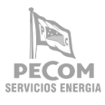 Pecom