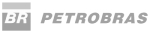 Petrobras Logo